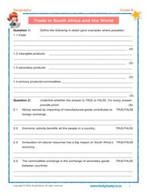 cover image of Grade 6 Geography Test 3: Trade and Resources